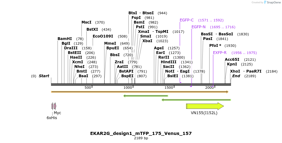 50450_map