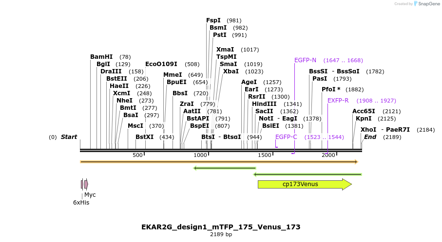 50451_map