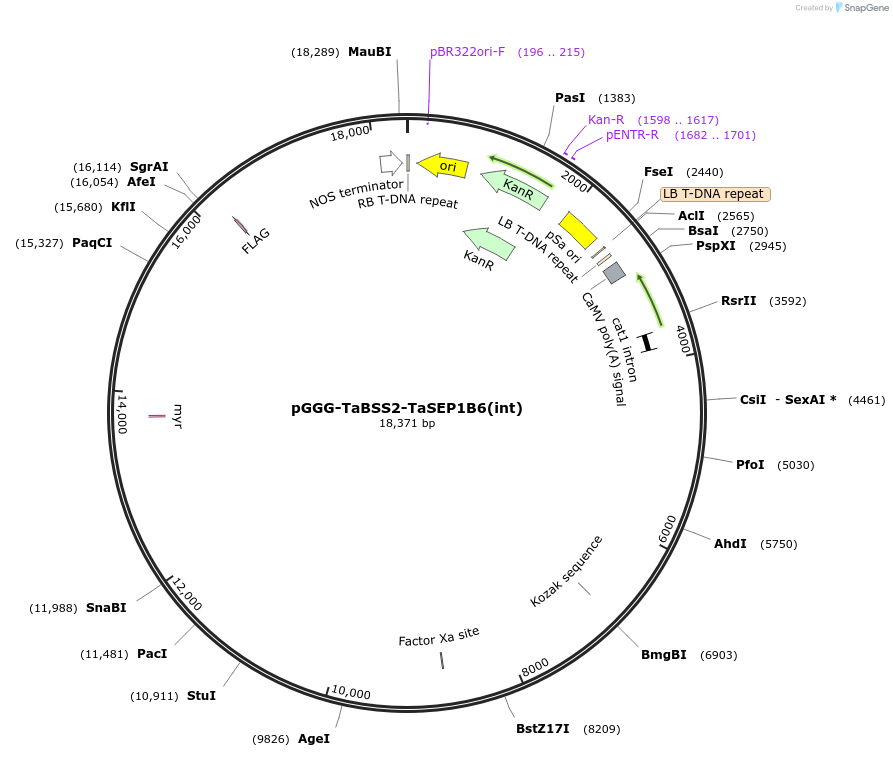 504530_map