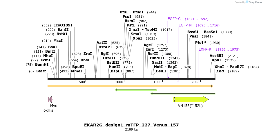 50456_map