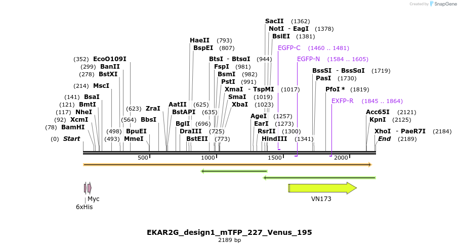 50458_map