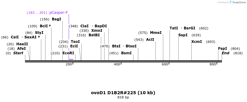 50461_map