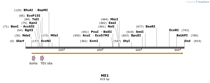 50463_map