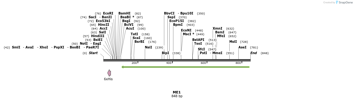 50464_map