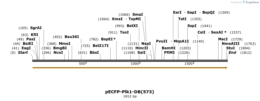 50465_map