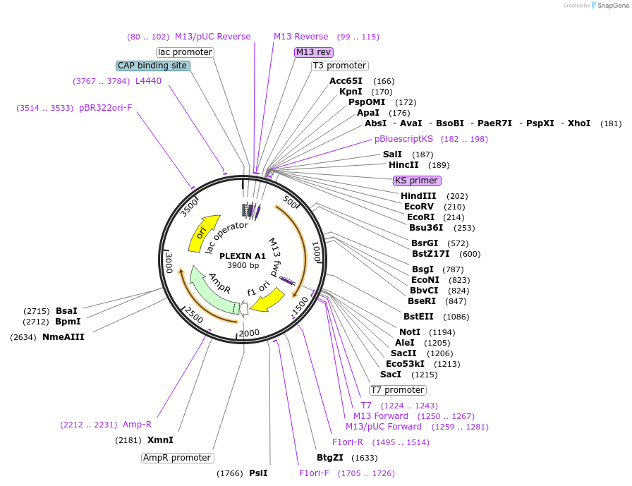 504700_map