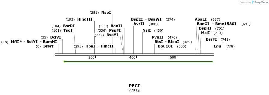 50471_map