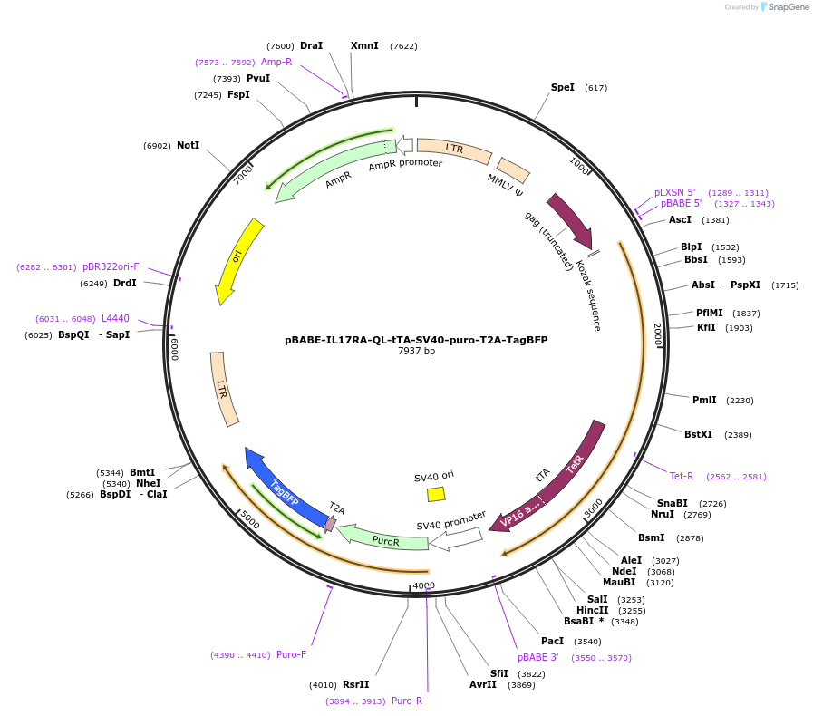 504717_map