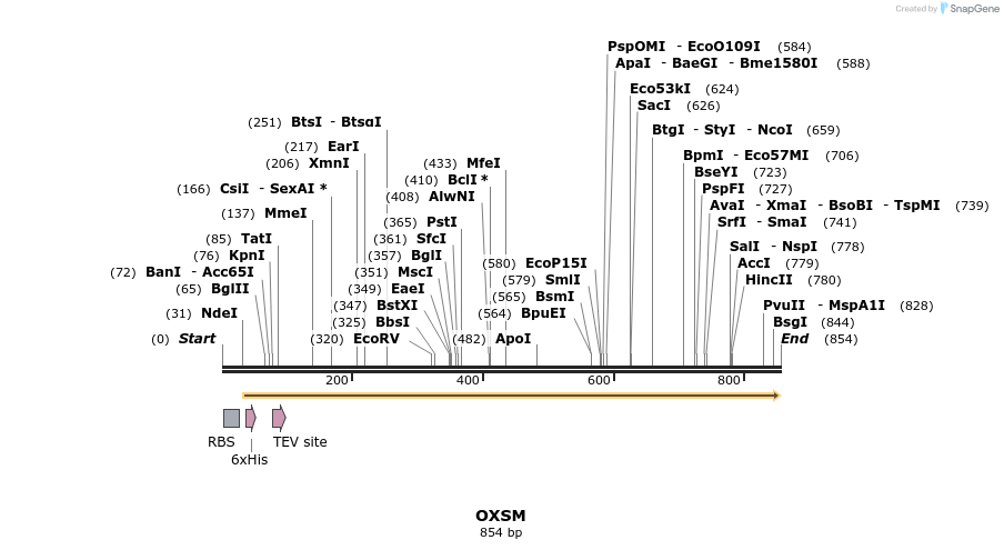 50474_map
