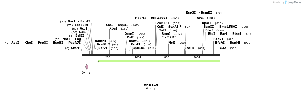 50479_map