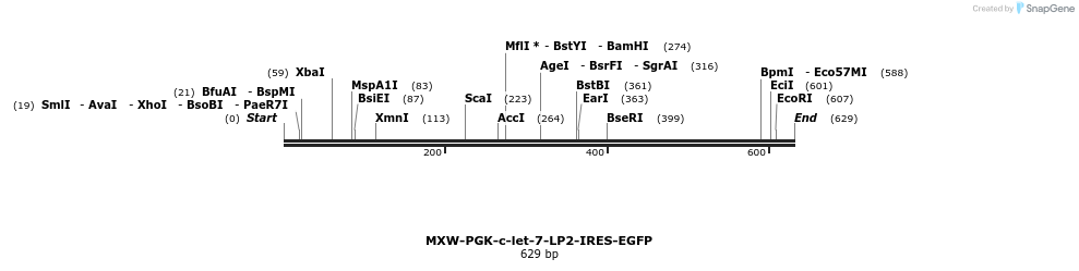 50480_map