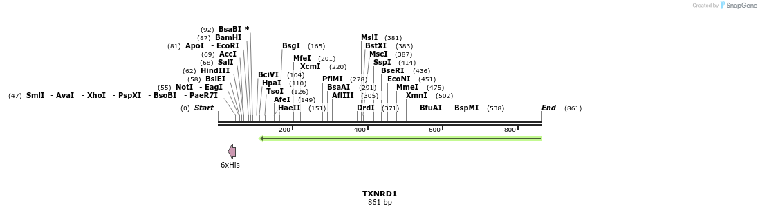 50482_map