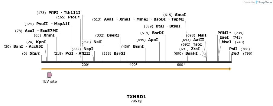 50485_map