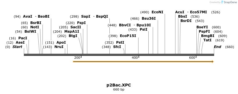 50487_map