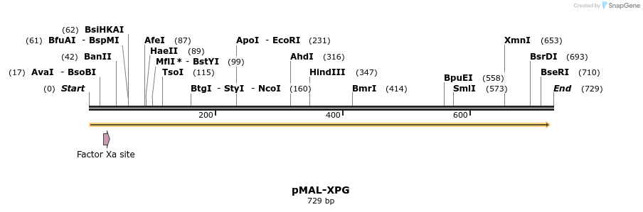 50498_map