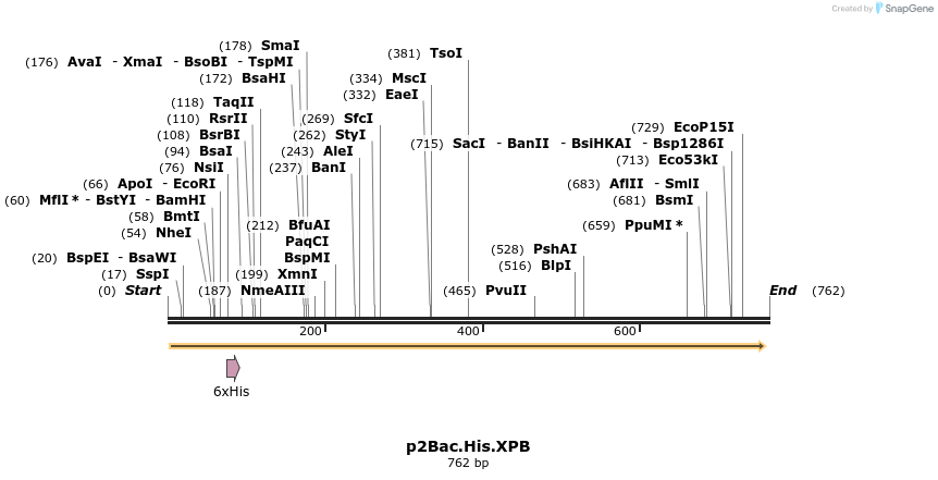 50500_map
