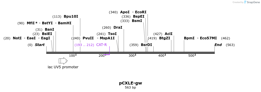 50501_map