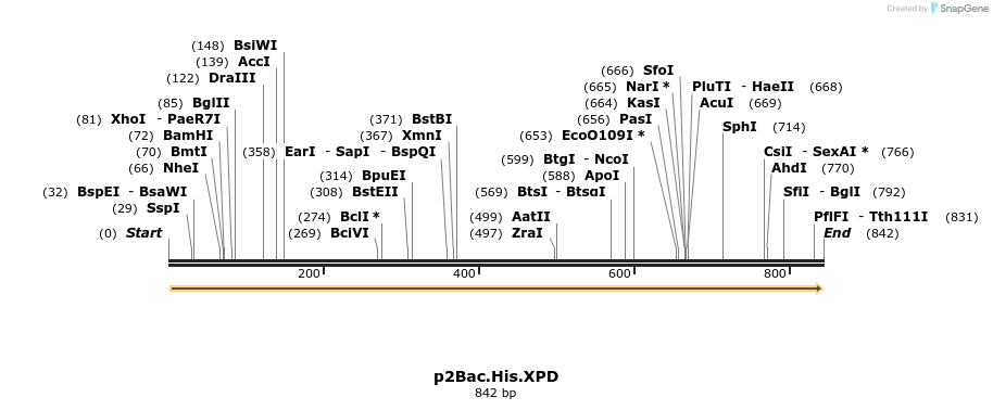 50502_map