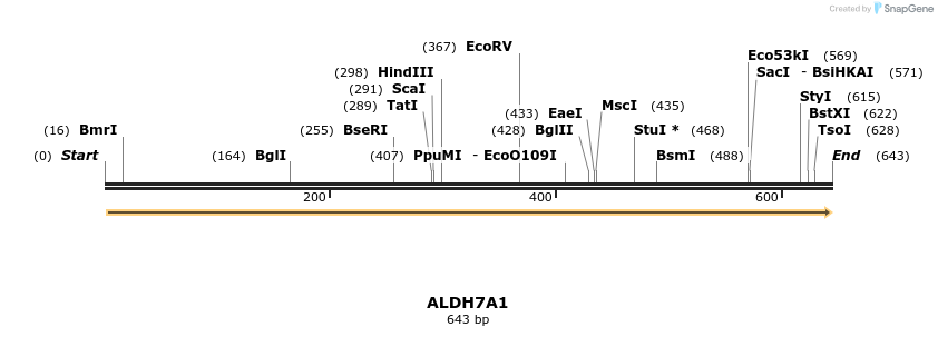 50509_map