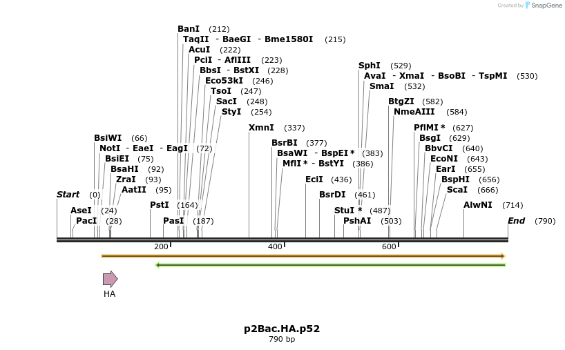 50510_map