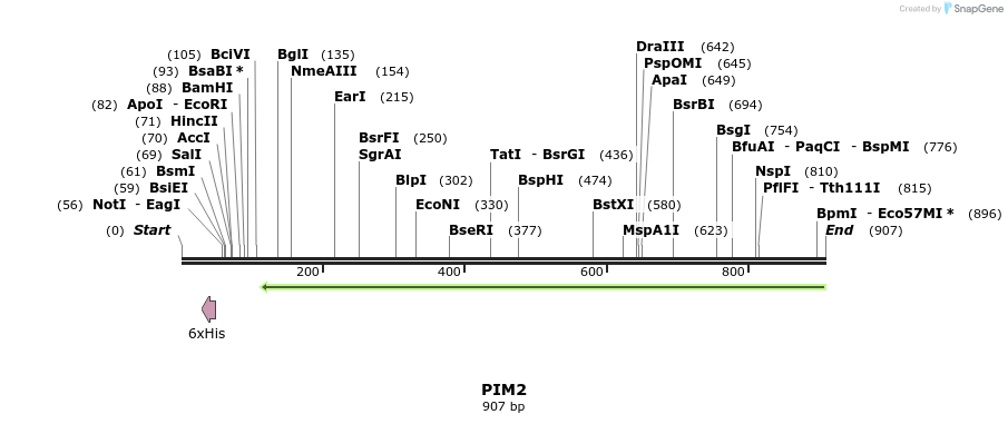 50511_map