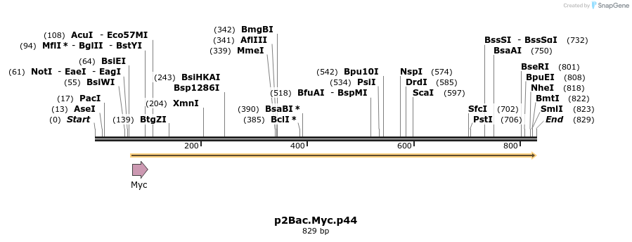 50512_map