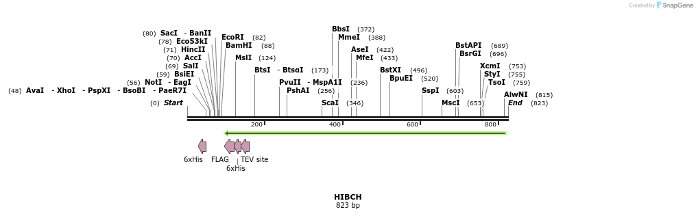 50513_map