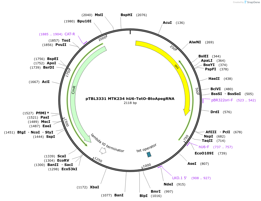 505137_map