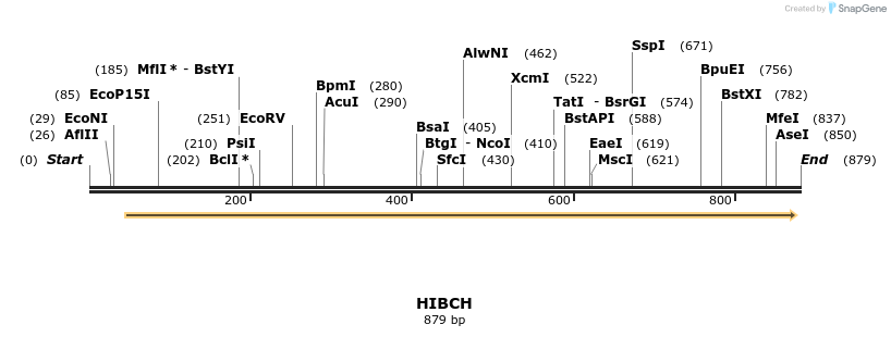 50514_map
