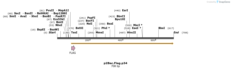 50515_map