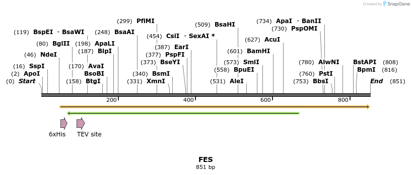 50516_map