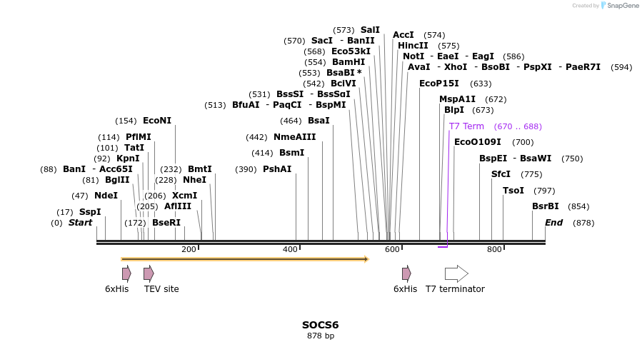 50519_map