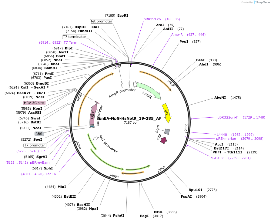 505199_map
