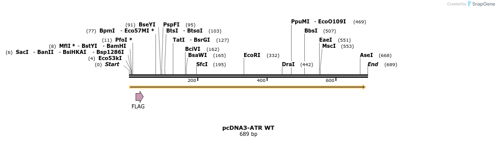 50520_map