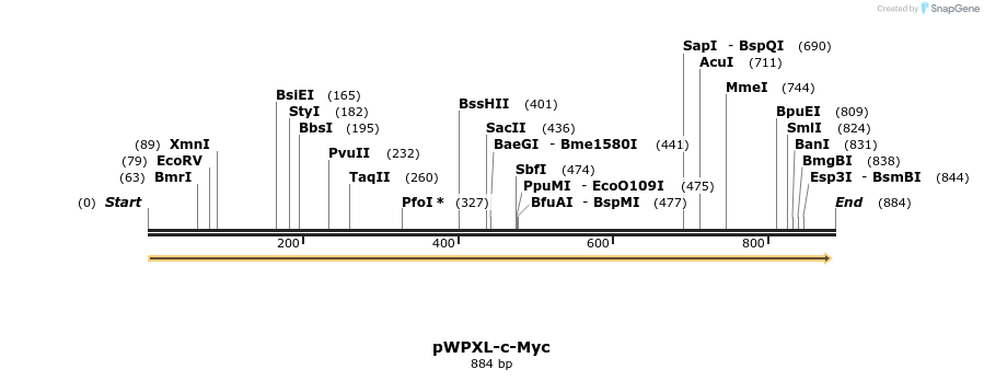50525_map