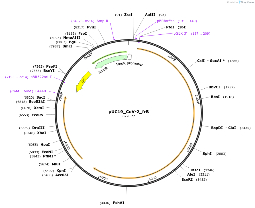505320_map
