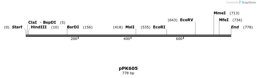 50535_map