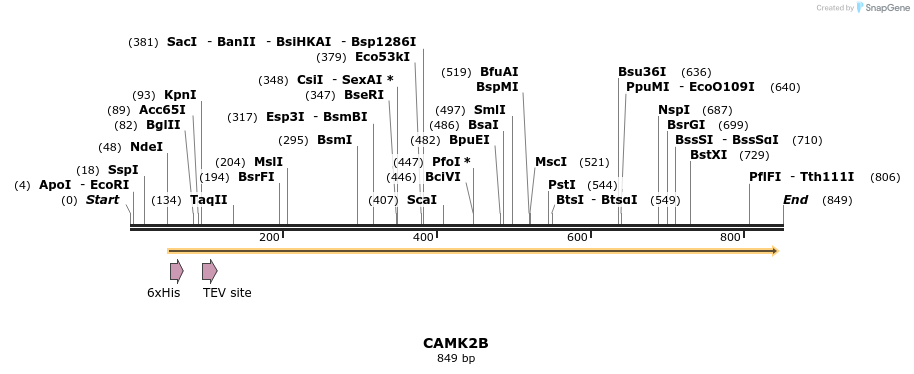 50539_map