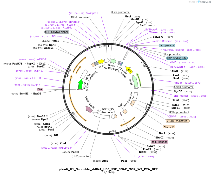 505403_map