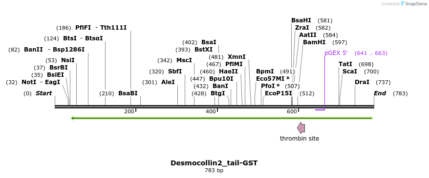 50550_map