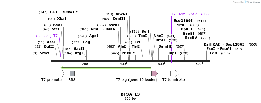 50551_map