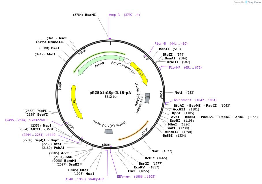 505512_map