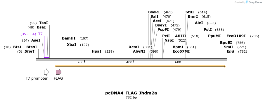 50552_map