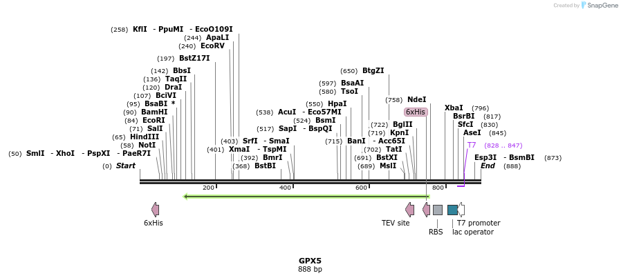 50554_map