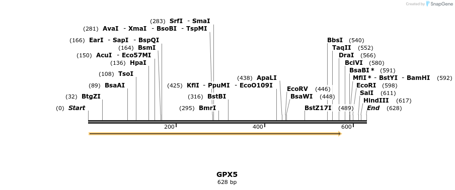 50555_map
