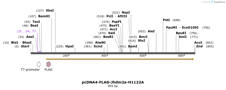 50558_map