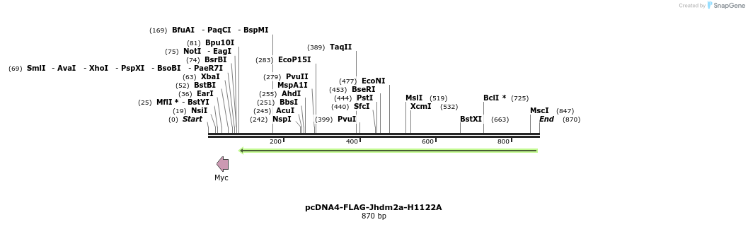 50559_map