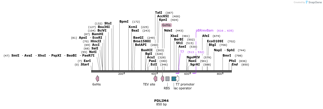 50560_map