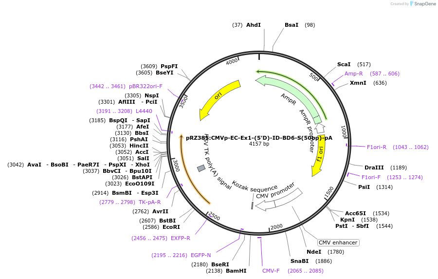 505604_map