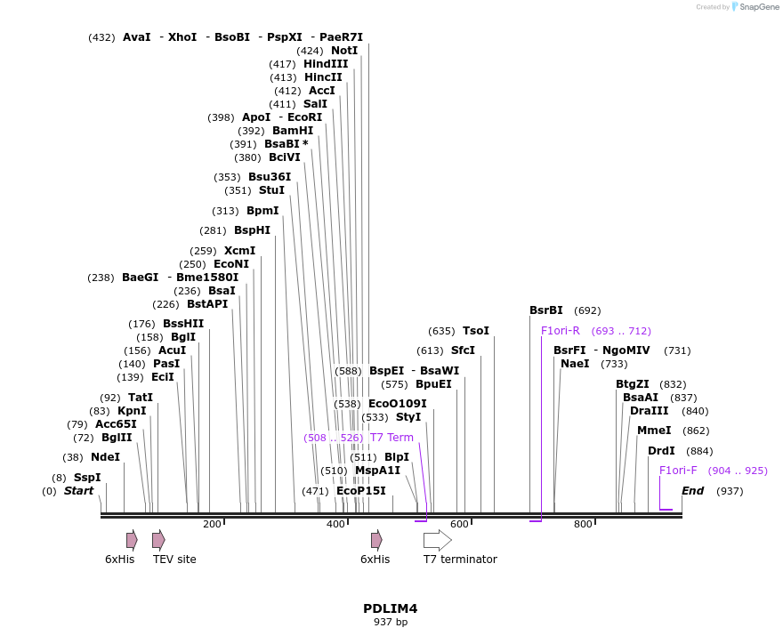 50561_map